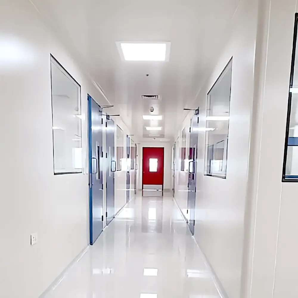Cleanroom corridor at the Desano Pharma facility in Bangalore